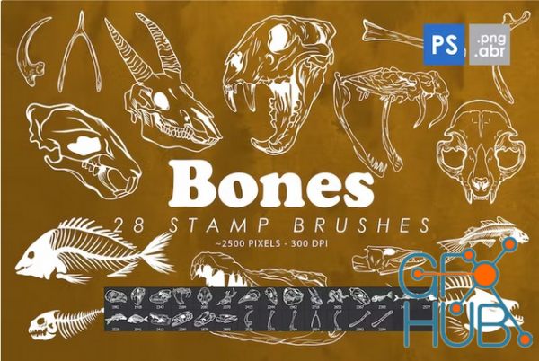 Envato – 28 Bones Photoshop Stamp Brushes