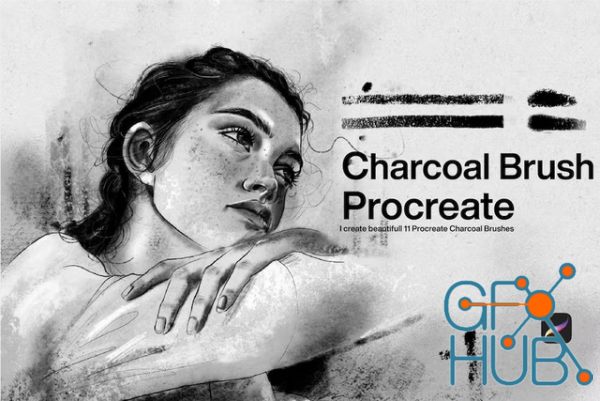 10 Charcoal Brushes Procreate
