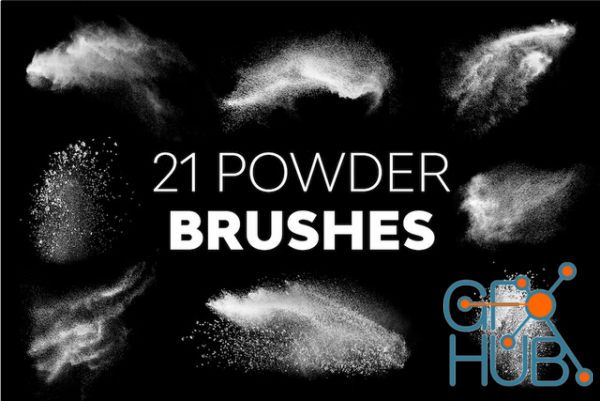 21 Powder Brushes