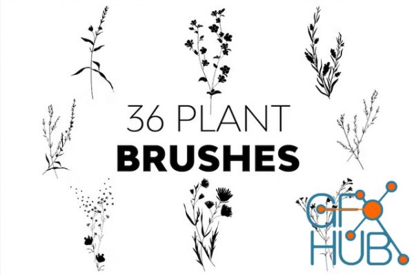 36 Plant Brushes