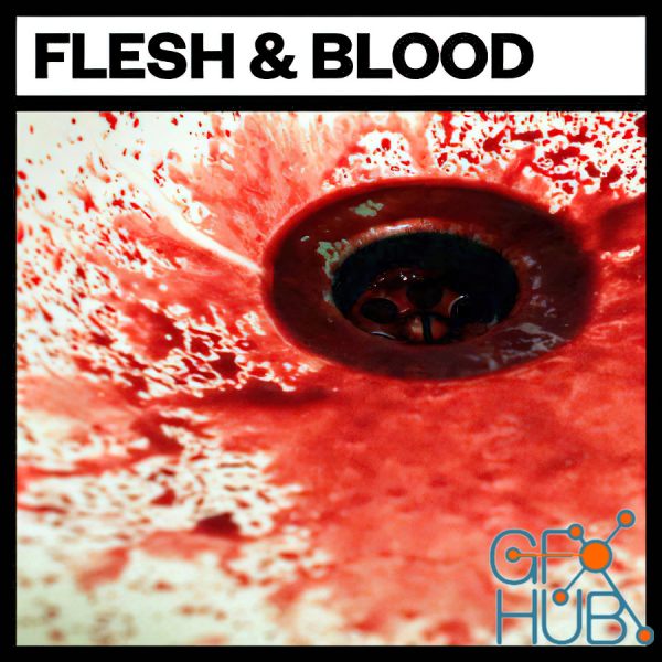 Big Room Sound – Flesh and Blood